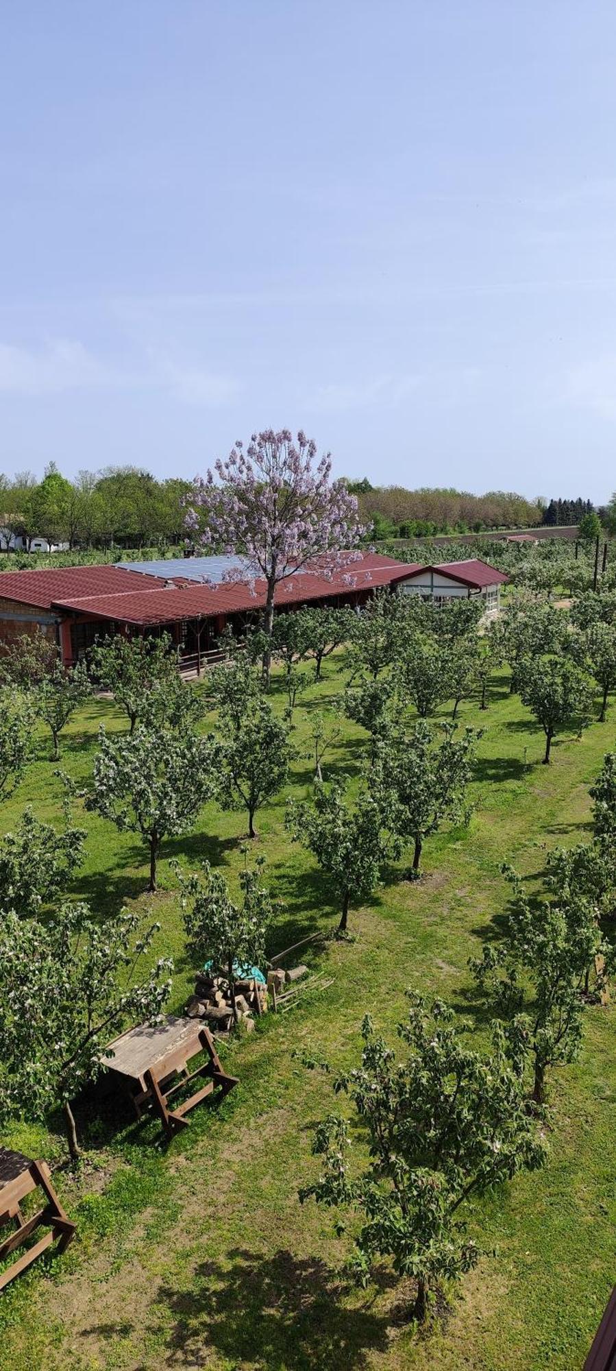 Salas Farma 47-Miris Dunja Cenej Exterior foto