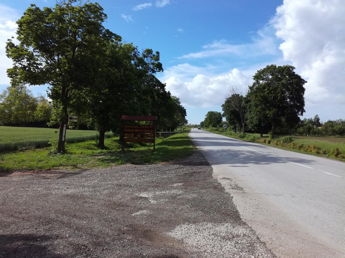 Salas Farma 47-Miris Dunja Cenej Exterior foto